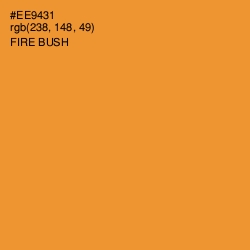 #EE9431 - Fire Bush Color Image